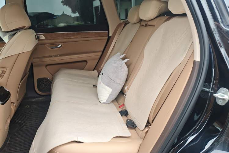 Used Hima AITO M7 2024 1.5T Intelligent Drive Rear-Drive Ultra Version 5 Seats Left Rear Seat