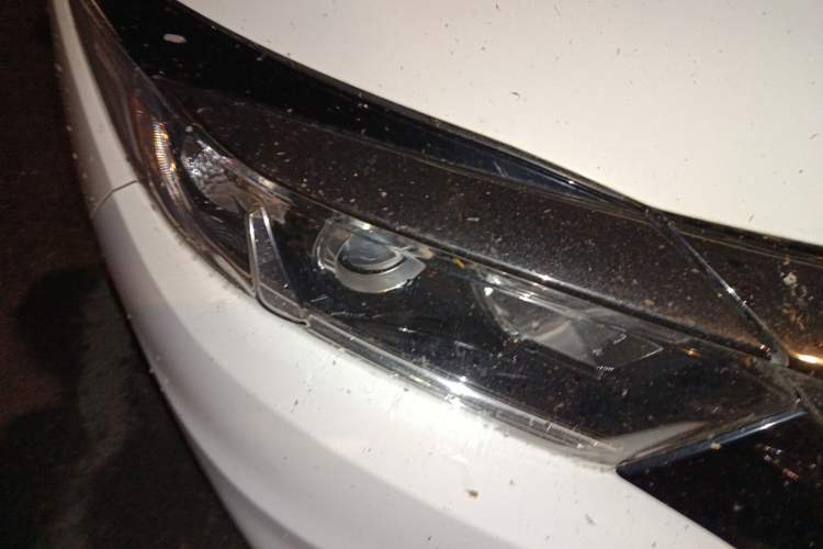 Used Honda Vezel 2020 1.5L CVT Pioneer Edition
