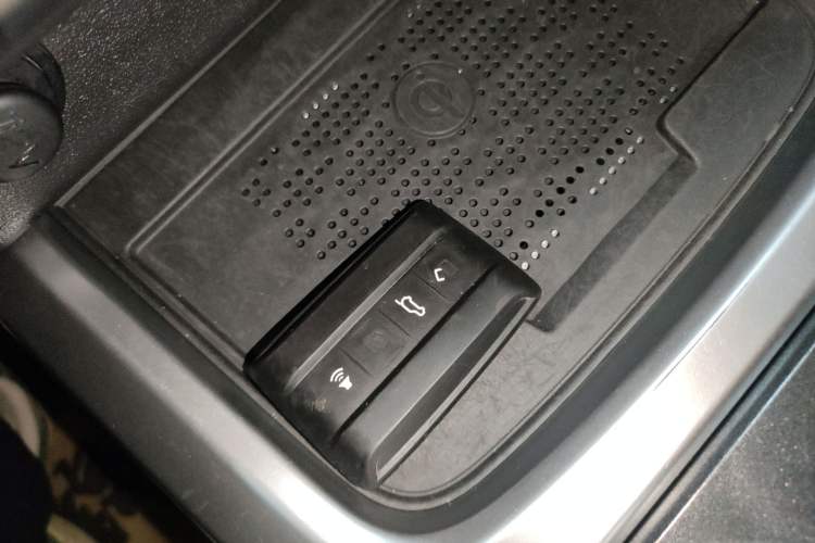 Used Tank 300 2024 2.0T Conqueror