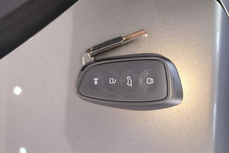 Used Haval H Dog New Energy 2023 DHT-PHEV 105km Trend Electric Edition Interior 1