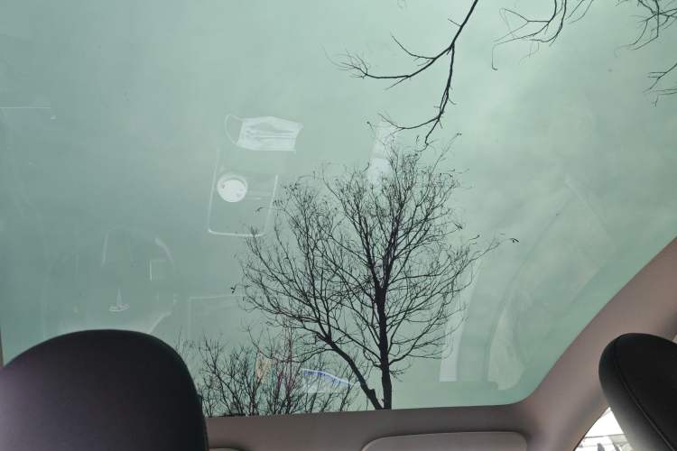 Used Tesla Model Y 2023 Rear-Wheel-Drive Version