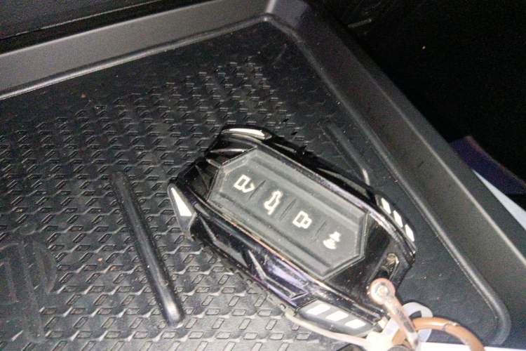 Used Tank 400 New Energy 2024 Hi4-T Off-Road Edition Vehicle Key