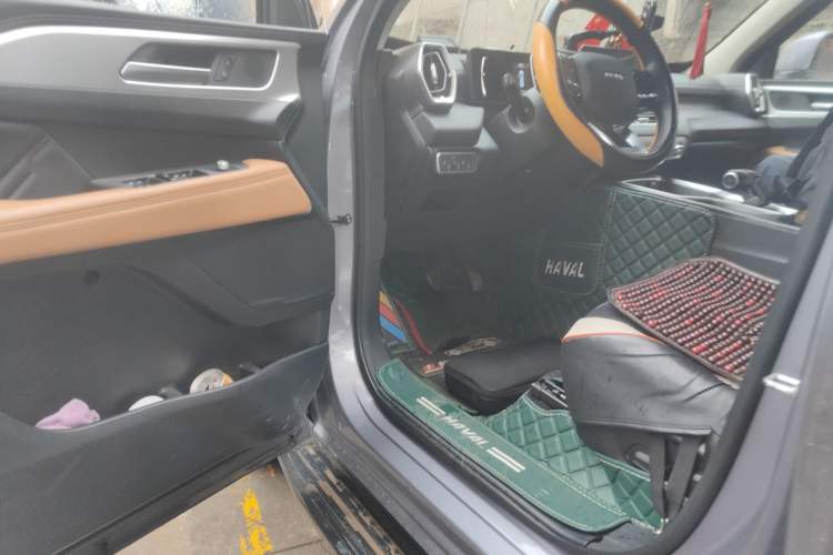 Used Haval H5 2023 2.0T Automatic Two-Wheel Drive LinkedIn Gasoline
