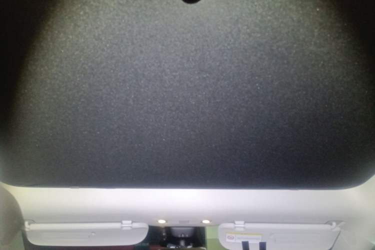 Used Tesla Model Y 2022 Long-Range All-Wheel-Drive Version Headliner