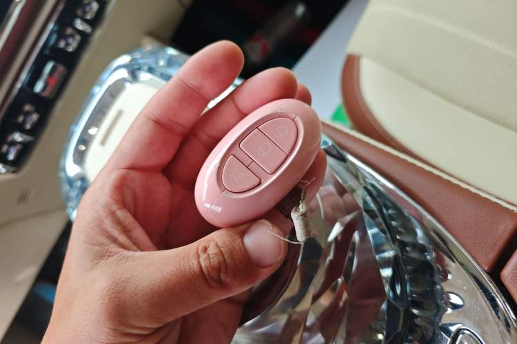 Used ORA Ballet Cat 2023 401 km Luxury Version Vehicle Key