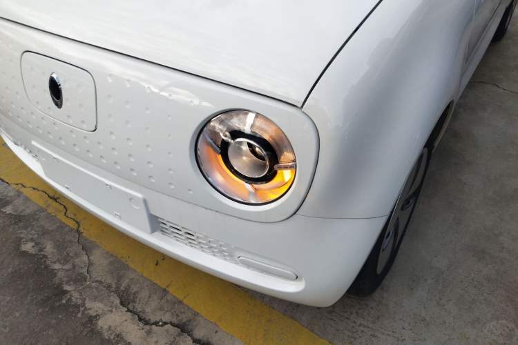 Used ORA Black Cat 2021 301km Cute Pet Edition
