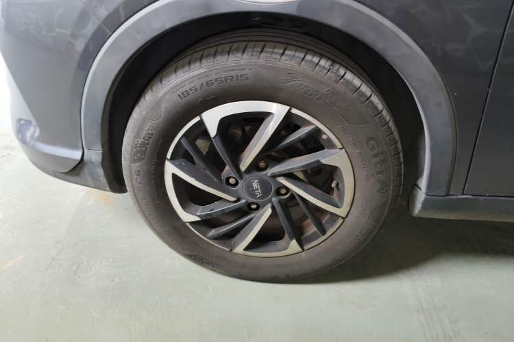 Used NETA V 2021 Long-Range Entertainment Edition Upgrade Model
