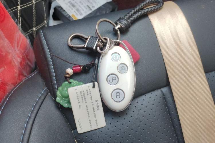 Used BYD Qin New Energy 2017 Qin 1.5T 100
