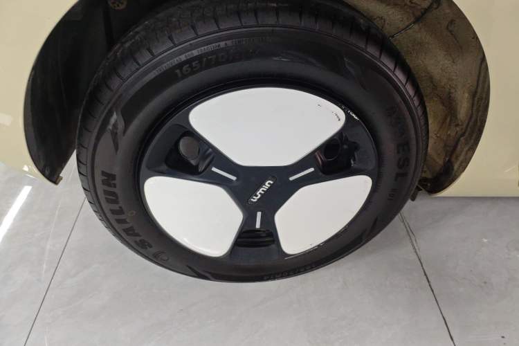 Used Qiyuan Lumin 2023 301km Honey Dew Edition