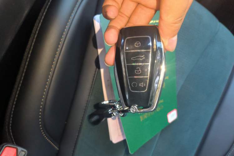 Used Geely Auto Monjaro L 2021 2.0TD High-Power Automatic All-Wheel-Drive Flagship Version
