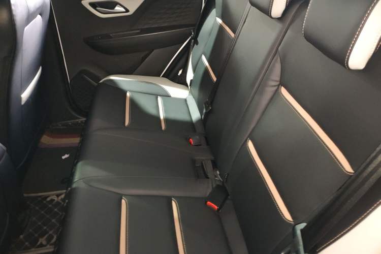 Used SOL E10X 2022 Flower Fairy Style Baby's Breath