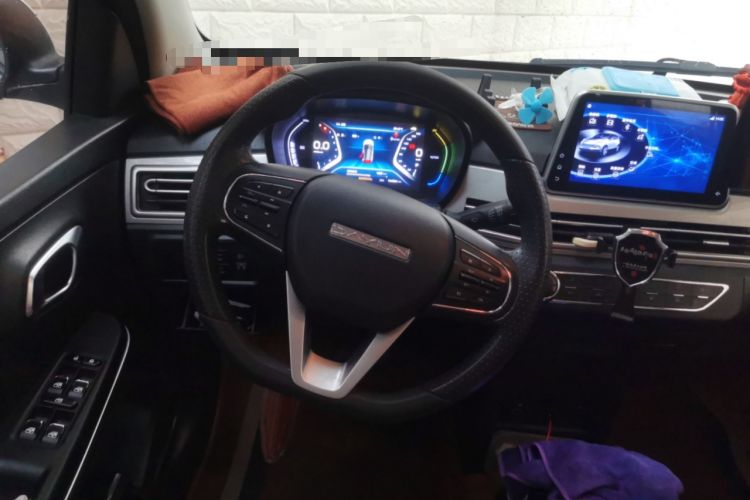 Used Dayun Yuehu 2021 32.85 kWh Two-Wheel-Drive Sprite Version