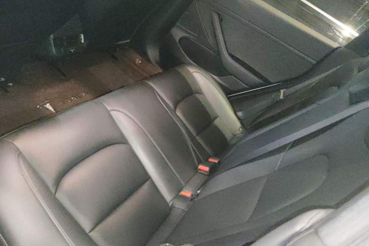 Used Tesla Model 3 2020 Revised Version Standard Range Rear-Wheel Drive – Upgraded Edition