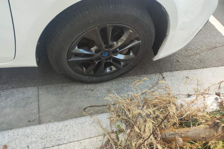 Used BYD Qin New Energy 2017 1.5T Luxury Model