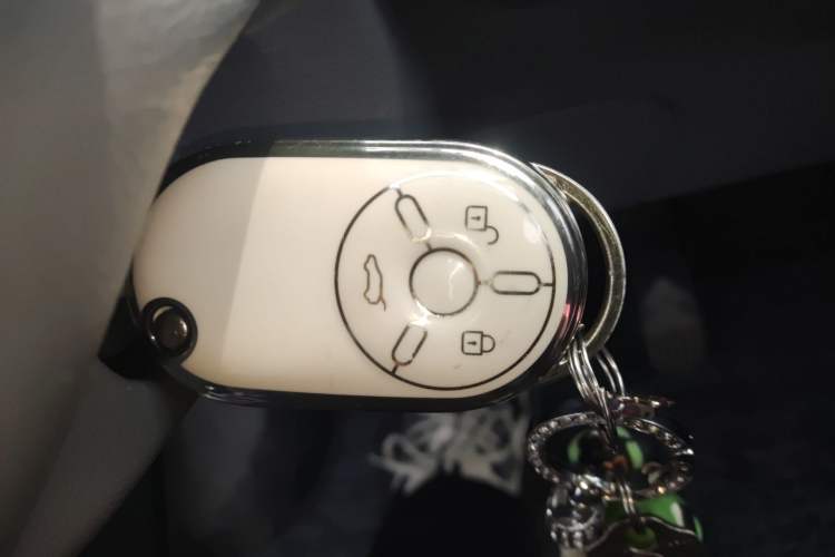 Used Bestune Pony 2024 170km Range Energizing Horse Interior 1