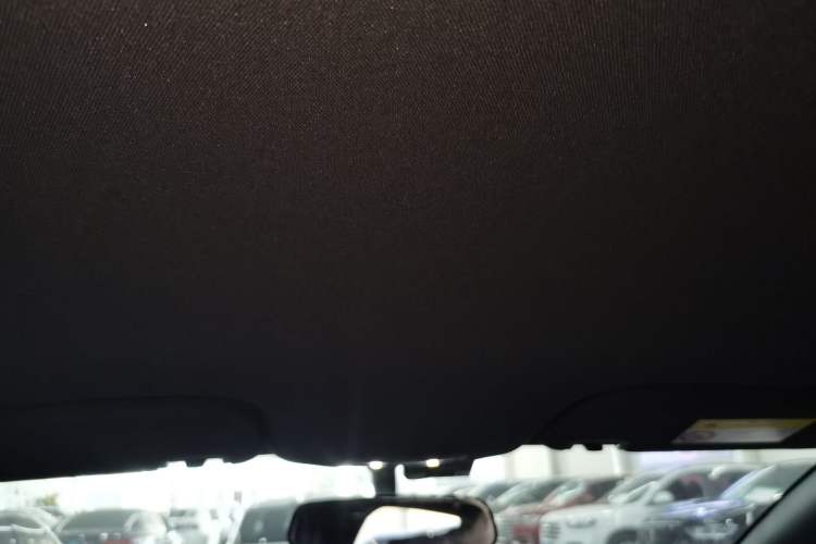 Used BYD Dolphin 2021 405 km Free Version Headliner