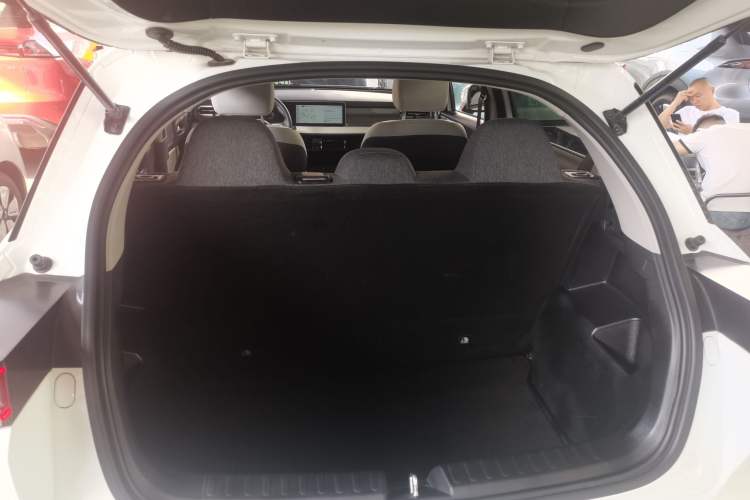 Used Geometry E Firefly 2024 301km Flowing Light