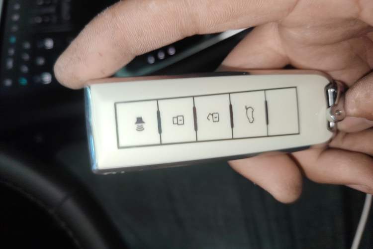 Used Wey Latte DHT 2022 1.5T DHT Extra-Large Cup
