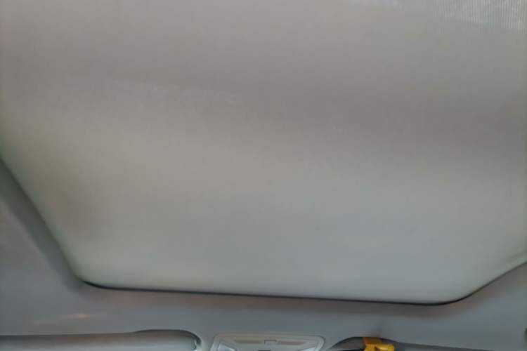 Used Hongqi E-HS3 2019 Zhilian Qiyue Two-Wheel Drive Version Headliner