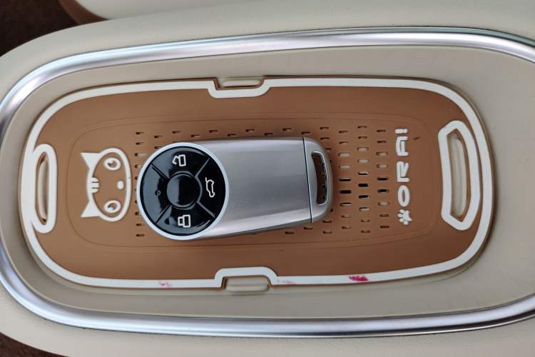 Used ORA Good Cat 2023 401 km Standard Range Premium Trim Ternary Lithium Vehicle Key