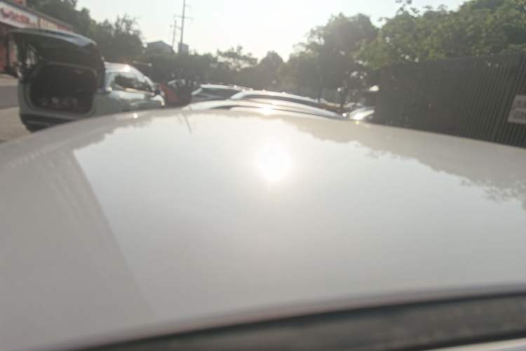 Used Dayun Yuehu 2023 300 Standard Edition
