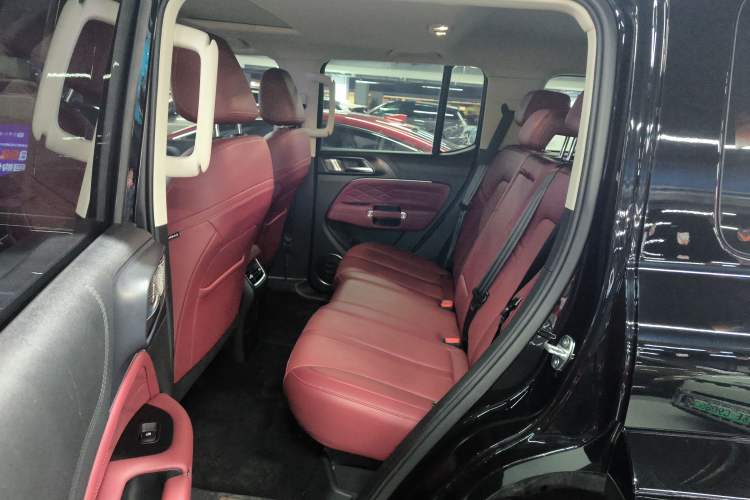 Used Tank 300 2024 2.0T Crosser
