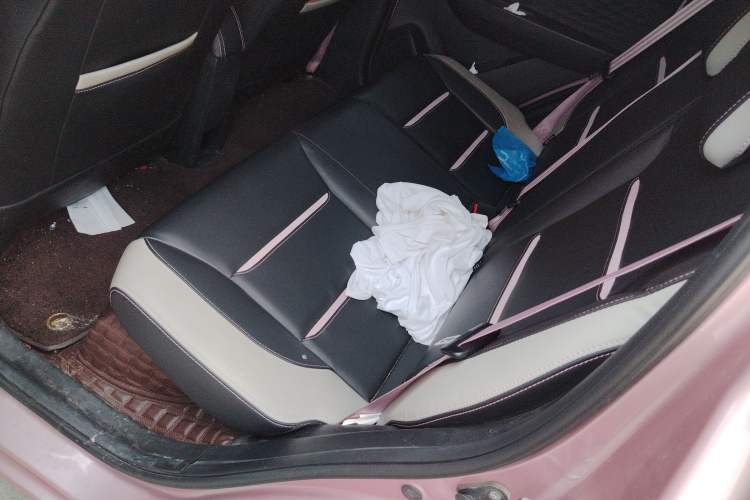 Used SOL E10X 2022 Flower Fairy Style Baby's Breath