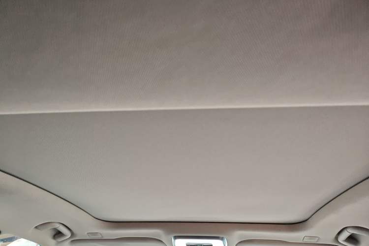 Used Hongqi H9 2020 3.0T Smart Connect Flagship Edition Headliner