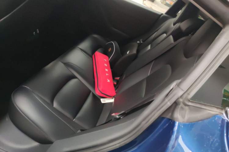 Used Tesla Model 3 2020 Standard Range Rear-Wheel Drive Upgraded Version Left Rear Seat