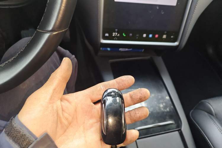 Used Tesla Model X 2017 X 100D Long Range Edition