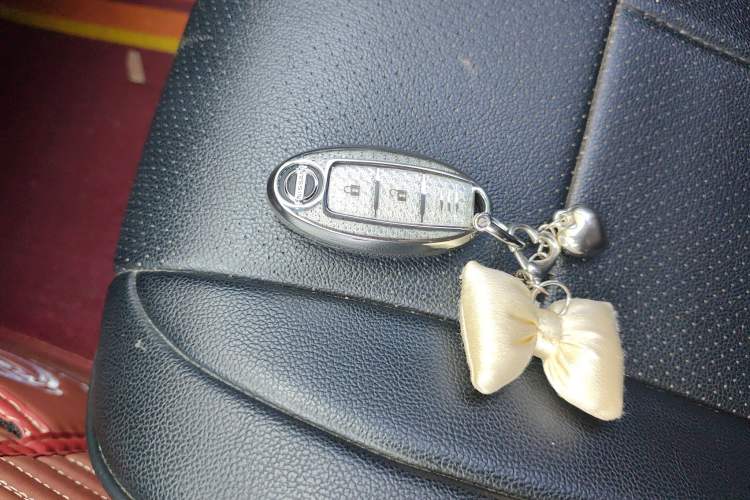 Used Nissan Qashqai 2019 2.0L CVT Luxury Edition
