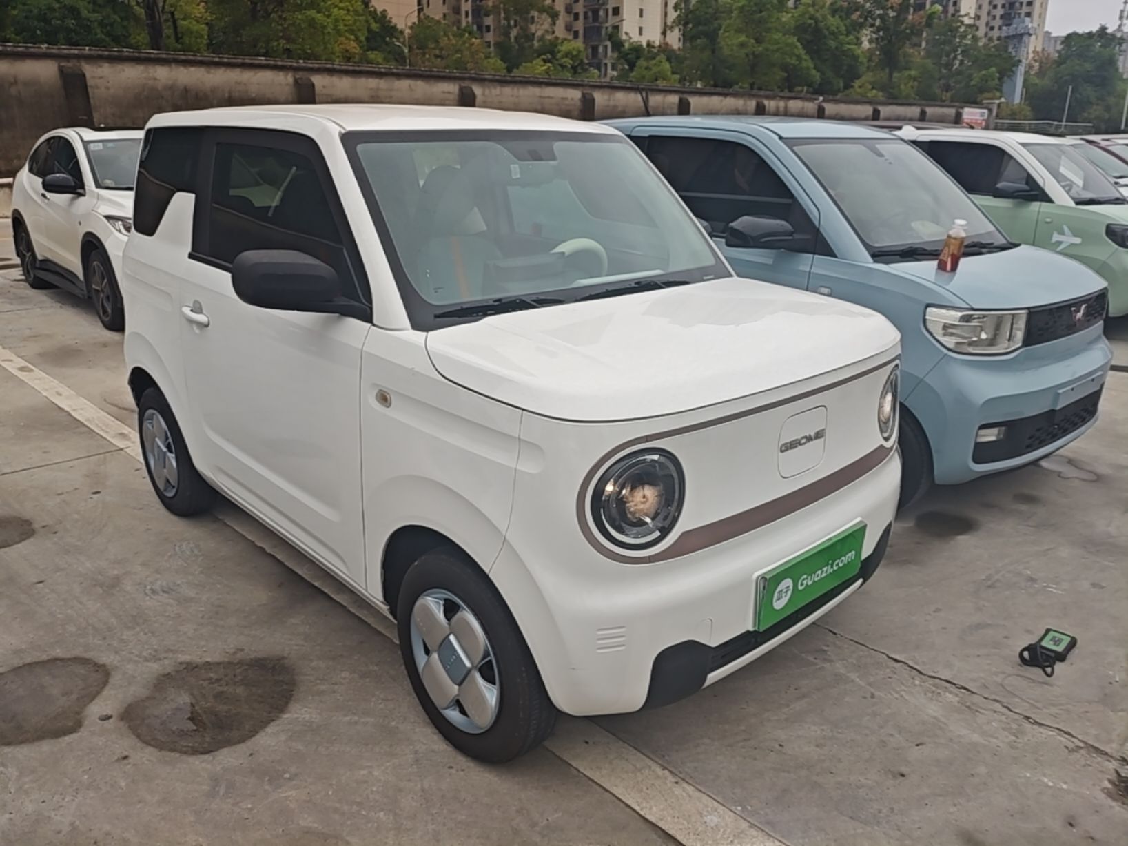 Geely Galaxy Panda 2023 Panda Mini 200km Endurance Bear — снимка 3
