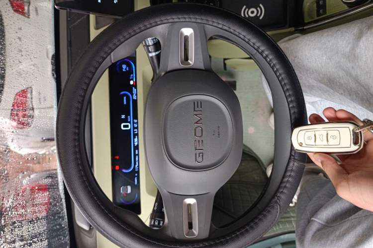 Used Geely Galaxy Panda 2024 Panda Mini 200km Endurance Bear
