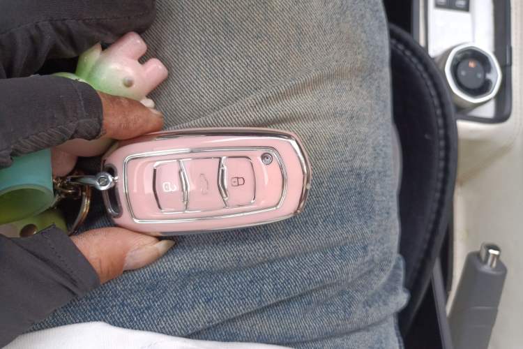 Used Geely Galaxy Panda 2023 Panda Mini 200km Endurance Bear