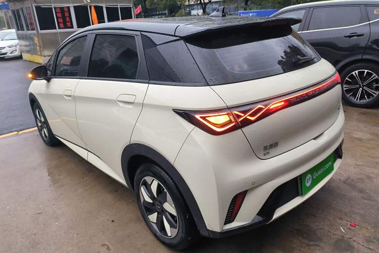 Used BYD Dolphin 2024 Honor Edition 420km Freedom Version