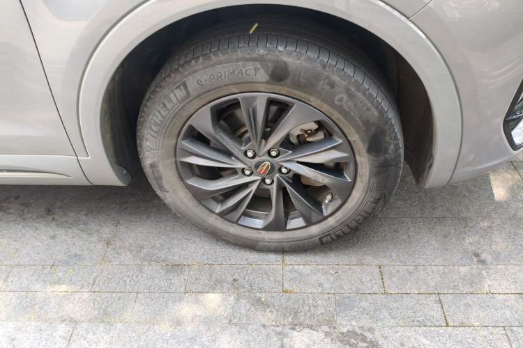 Used Hongqi HS5 2023 2.0T Qixiang Pro Edition Exterior 1