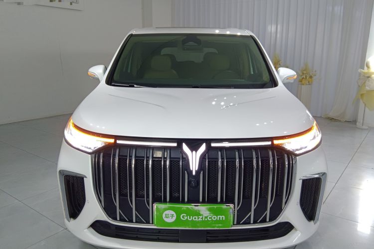 Used VOYAH Dream 2024 PHEV Ultra-Long Range Flagship Edition
