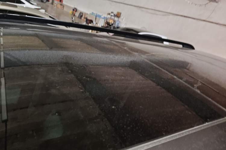 Used Formula Leopard Leopard 5 2023 Navigator Edition