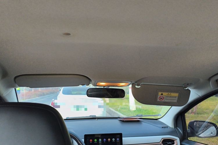 Used SOL E10X 2022 Flower Fairy Design Four-Leaf Clover