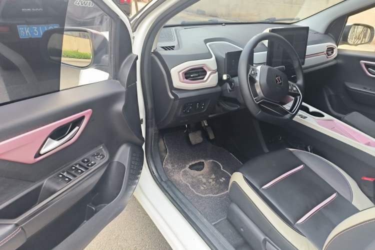 Used SOL E10X 2022 Flower Fairy Design Sunflower