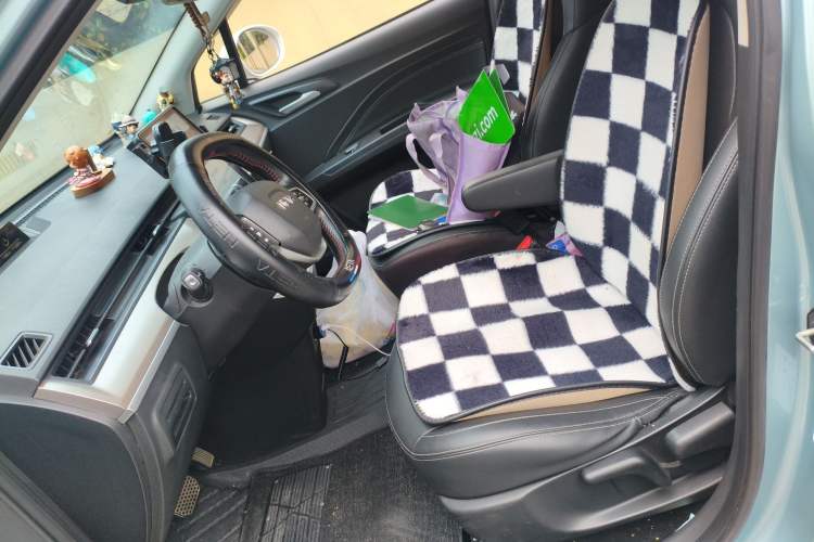 Used NETA V 2021 Long-Range Entertainment Edition Upgrade Model
