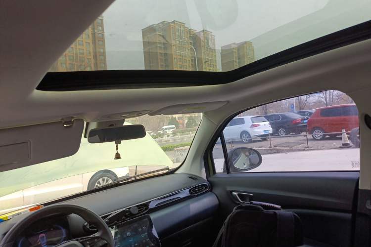 Used Leapmotor T03 2022 Star Diamond Edition Headliner