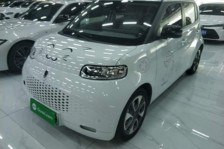 Used ORA White Cat 2020 401 km Long-Range Version