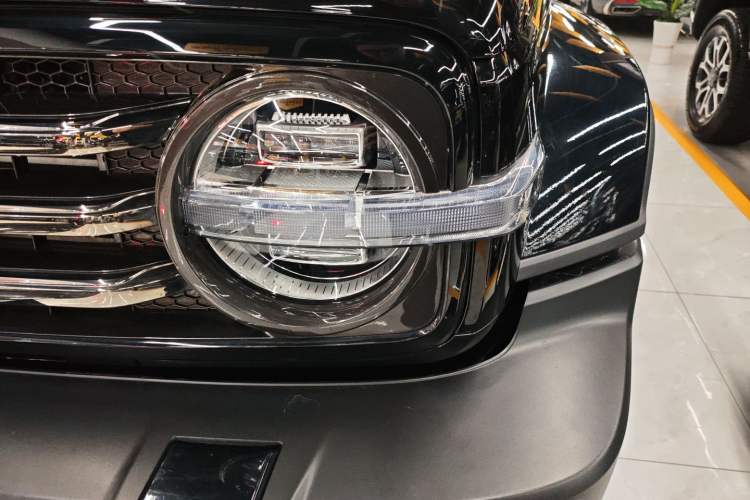 Used Tank 300 2024 2.0T Crosser
