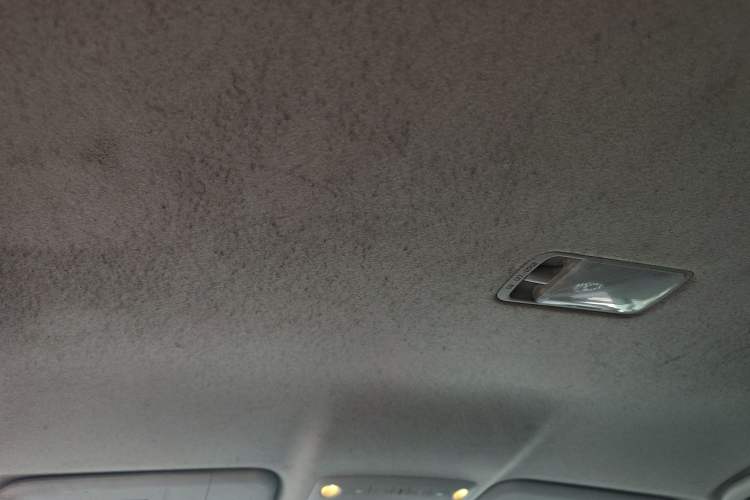 Used Nissan Sylphy EV 2018 Smart Edition Headliner