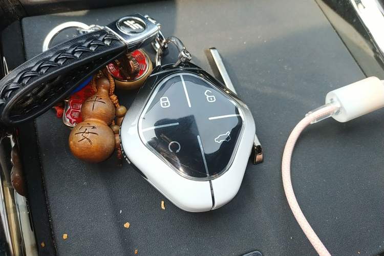 Used JETOUR Shanhai L6 2024 1.5TD DHT MAX
