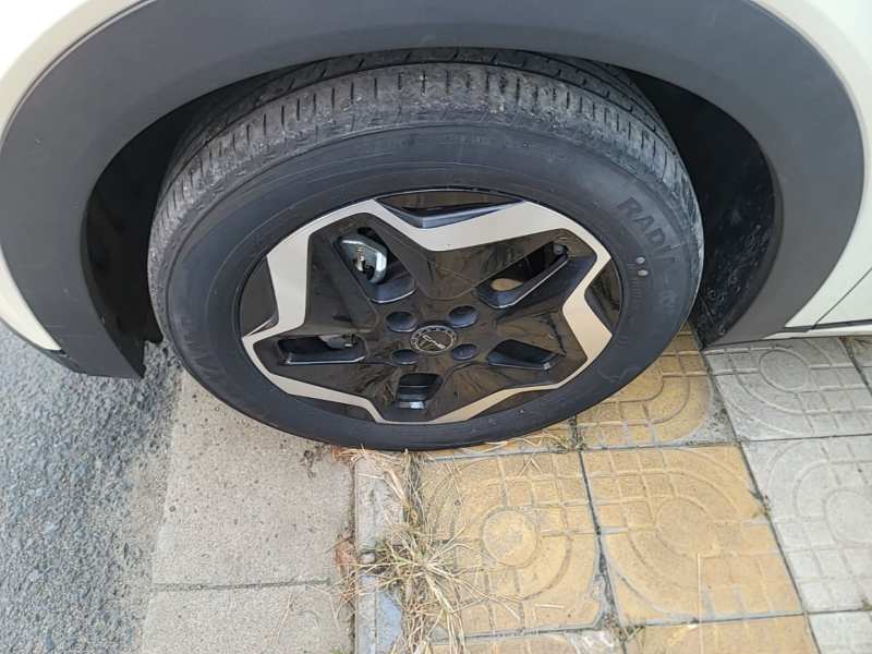 Used BYD Dolphin 2021 405 km Fashion Edition — 22