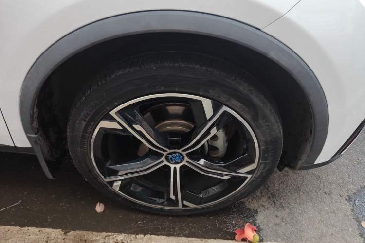 Used BYD Tang New Energy 2021 DM-i 112KM Prestige Model