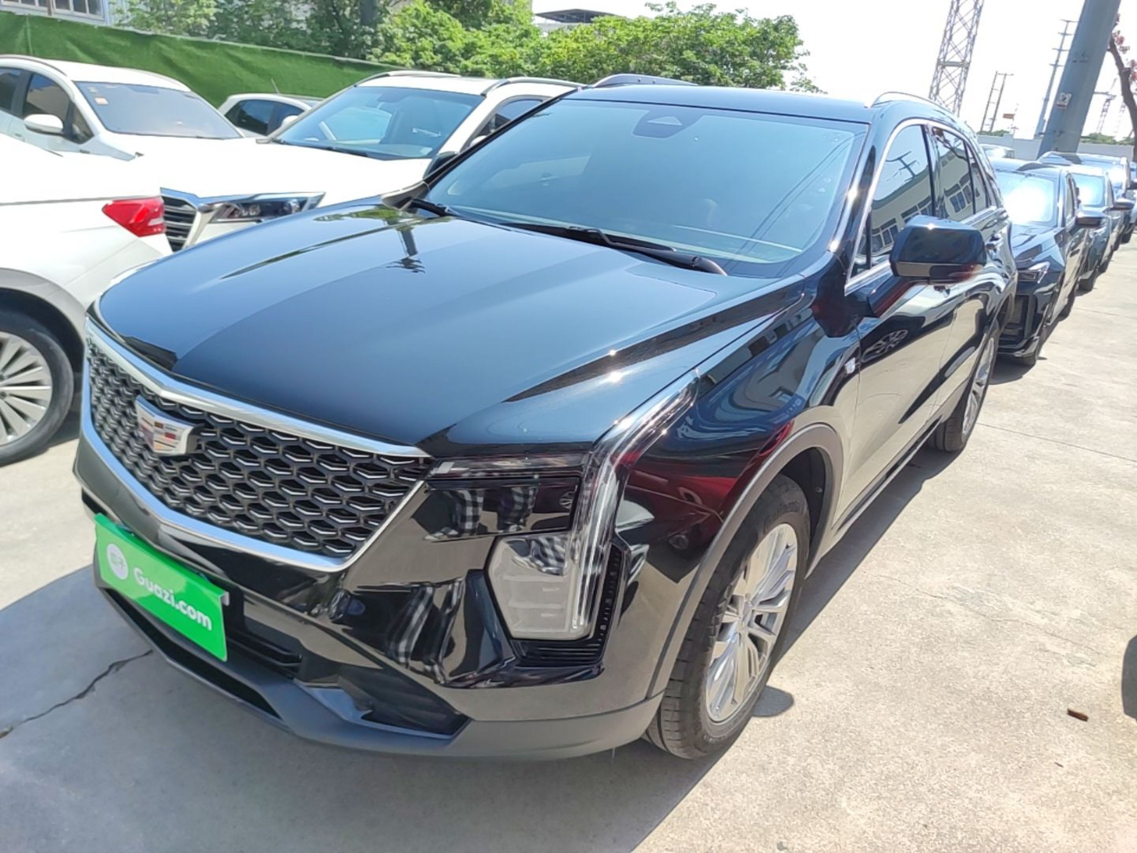Under Front Bumper