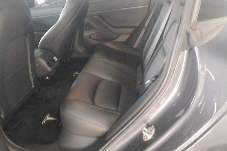 Used Tesla Model 3 2020 Revised Version Standard Range Rear-Wheel Drive – Upgraded Edition Left Rear Seat